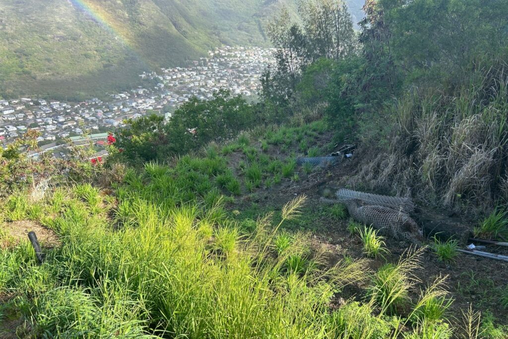part of a 13 acre lot in Honolulu