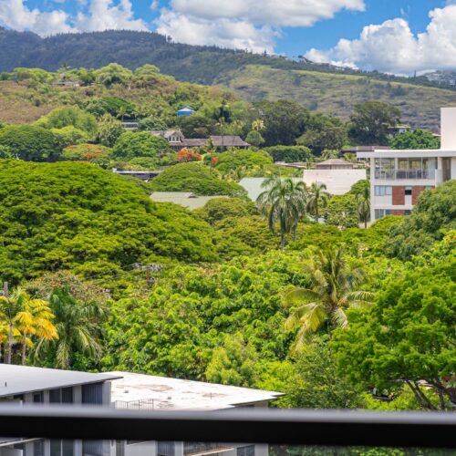 Panoramic treetop and mountain views from Punahou Cliffs #905.