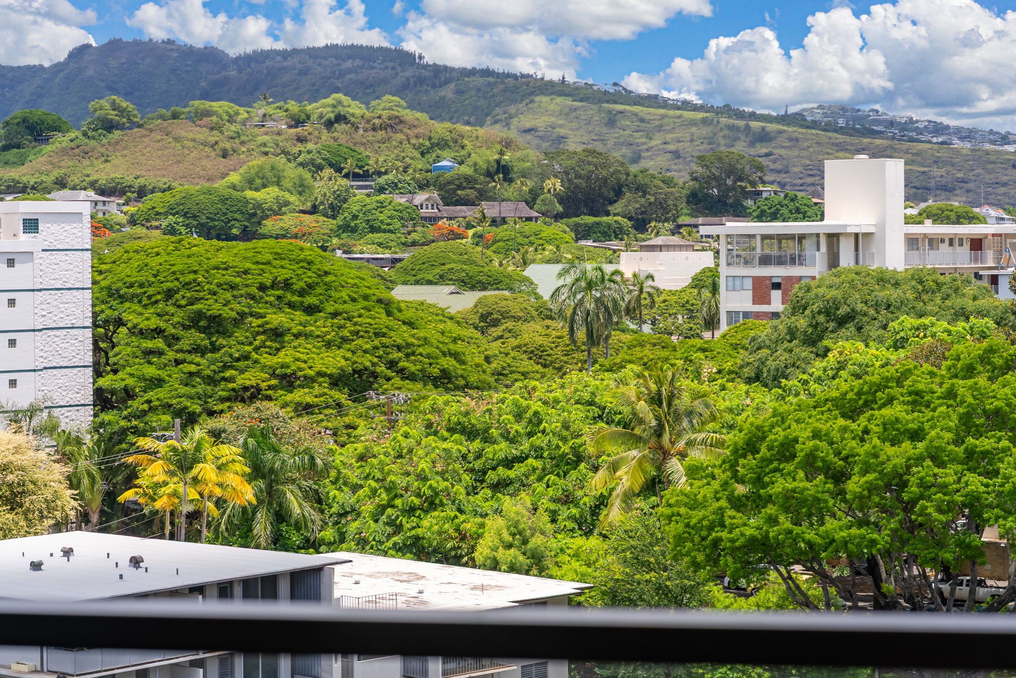 Panoramic treetop and mountain views from Punahou Cliffs #905.
