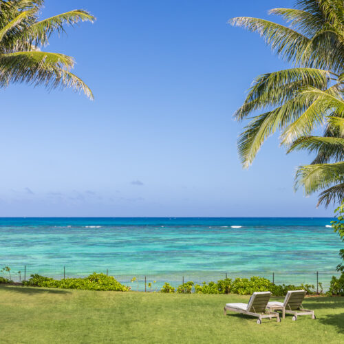 yard at a luxury home in hawaii overlooking the ocean