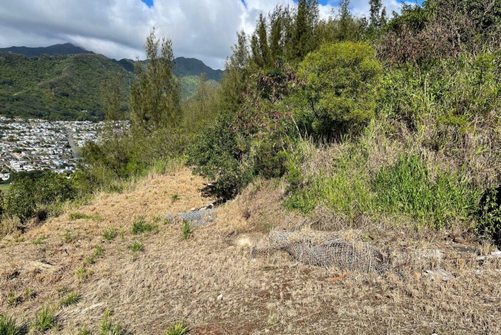 part of a 13 acre lot in Honolulu